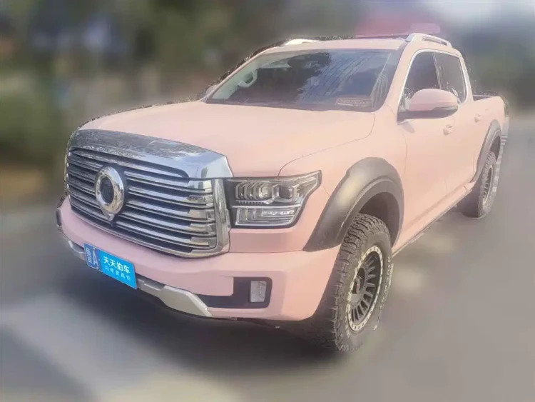Great Wall Shanhai Cannon 2023 2.4T Diesel Extreme Enjoyment Towing Edition