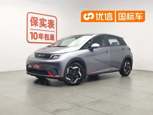 BYD Dolphin 2021 405km Freedom Edition