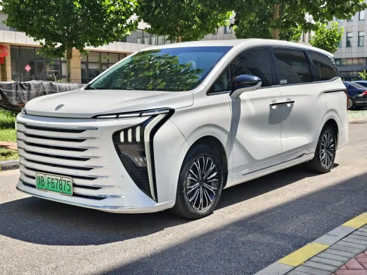 Dongfeng Fengxing Starlight V9 2024 1.5TD 200km Cloud Ladder Series Premium