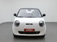 Changan Qiyuan Changan Lumin 2022 210km Sweet Edition