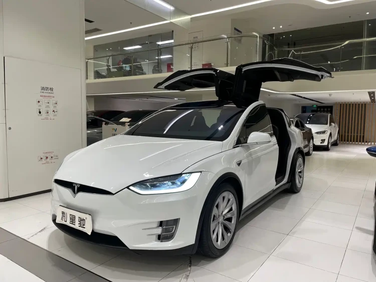 Tesla Model X 2019 Standard Range Version