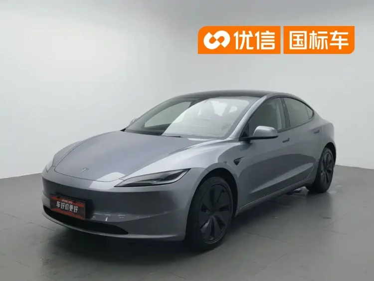Tesla Model 3 2025 Model Rear-Wheel Drive Edition