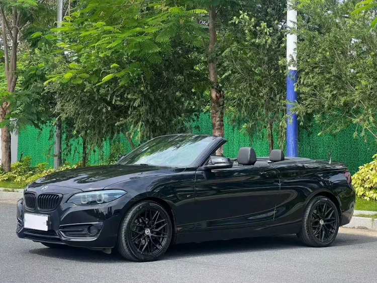 BMW 2 Series (Import) 2018 220i Convertible Coupe Sport Design Package