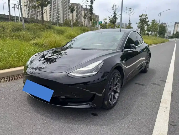Tesla Model 3 2020 Standard Range Rear-Wheel Drive Upgrade
