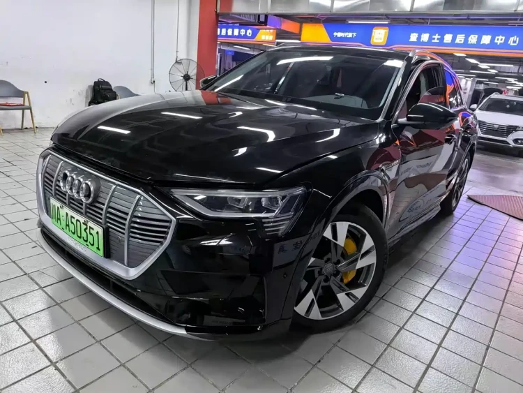 Audi e-tron (Import) 2019 55 quattro Technology