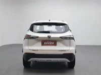 Baojun 510 2019 1.5L CVT Joy Edition China VI