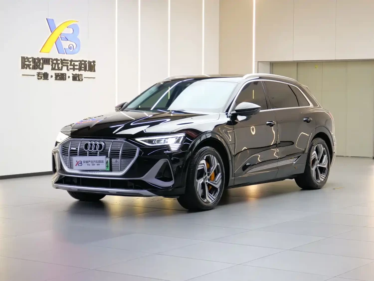 Audi e-tron 2021 50 quattro Exclusive Selection