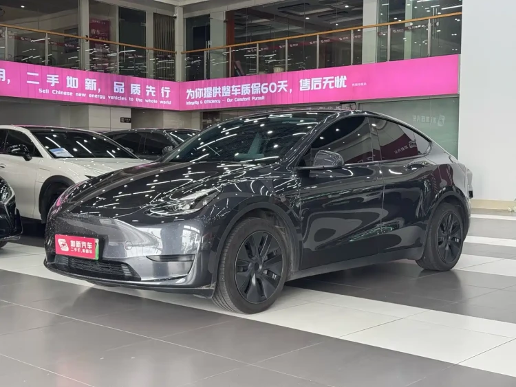 Tesla Model Y 2024 Rear-Wheel Drive Version