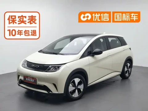 BYD Dolphin 2023 420km Fashion Edition