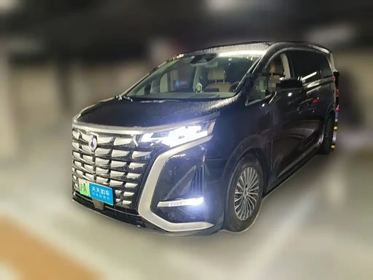 Denza D9 2022 DM-i 970 All-Wheel Drive Honor Edition