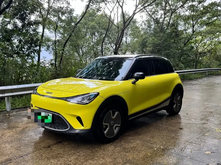 smart Elf #1 2022 Pro+ Edition
