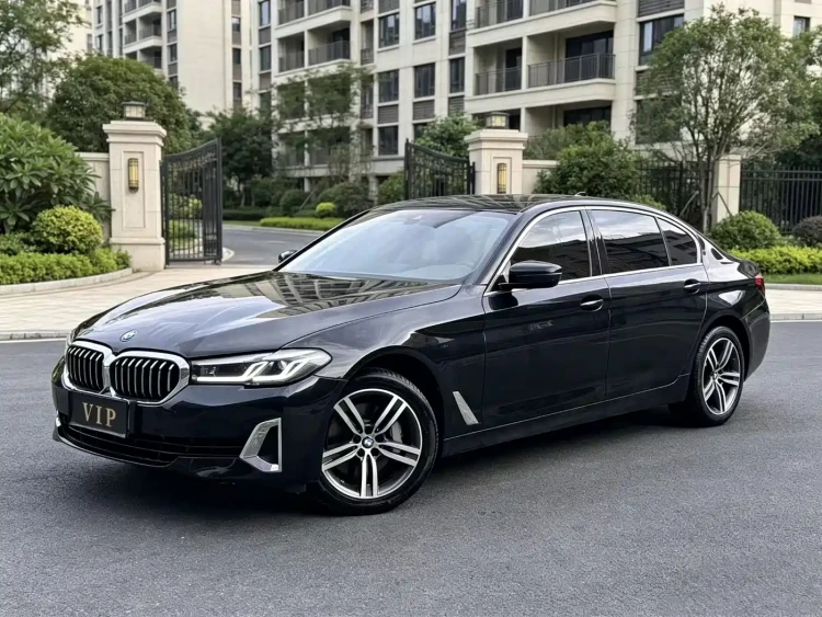 BMW 5 Series 2021 530Li Leading Luxury Package