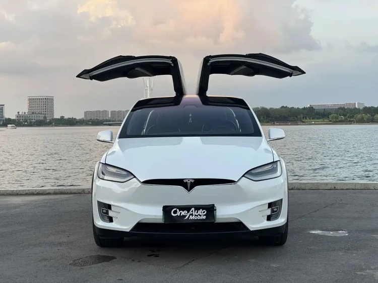 Tesla Model X 2019 Long Range Version