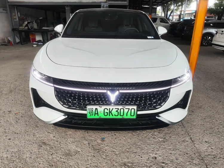 Voyah Auto VOYAH Zhuiguang 2024 PHEV AWD Ultra-long Range Executive Edition