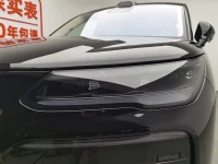Denza N9 2025 Model Prestige Edition