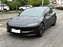 Tesla Model 3 2025 Model Rear-Wheel Drive Edition