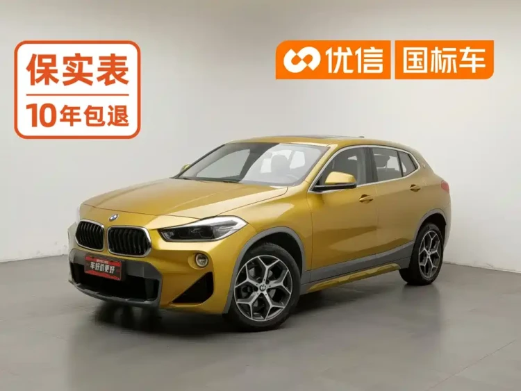 BMW X2 (Import) 2019 sDrive20i M Off-Road Package China VI