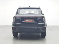 Haval Big Dog 2024 2.0T DCT Chinese Rural Dog Edition
