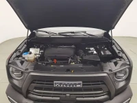 Haval Big Dog 2024 2.0T DCT Chinese Rural Dog Edition