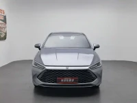 BYD Qin PLUS 2024 Glory Edition DM-i 55KM Leading