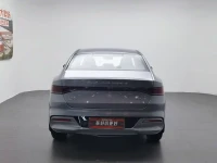 BYD Qin PLUS 2024 Glory Edition DM-i 55KM Leading