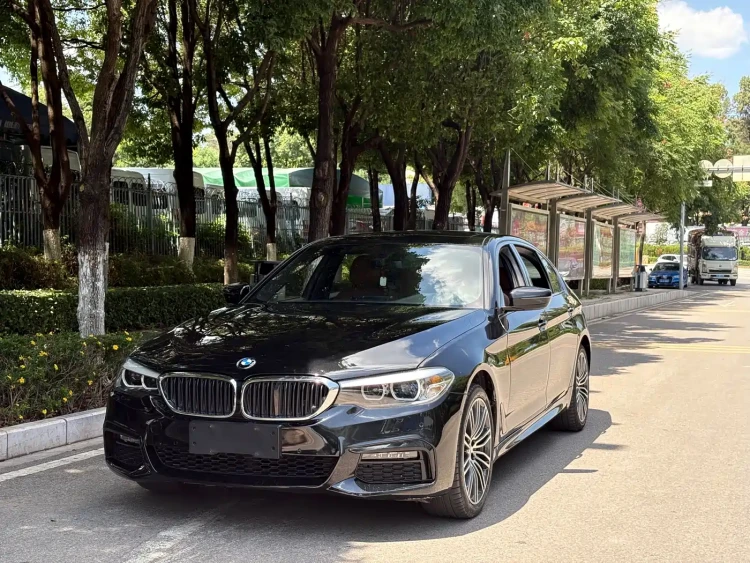BMW 5 Series 2019 530Li Leading M Sport Package