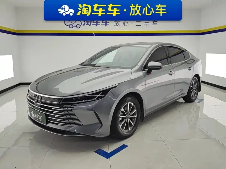 BYD Destroyer 05 2023 Champion Edition DM-i 55KM Luxury