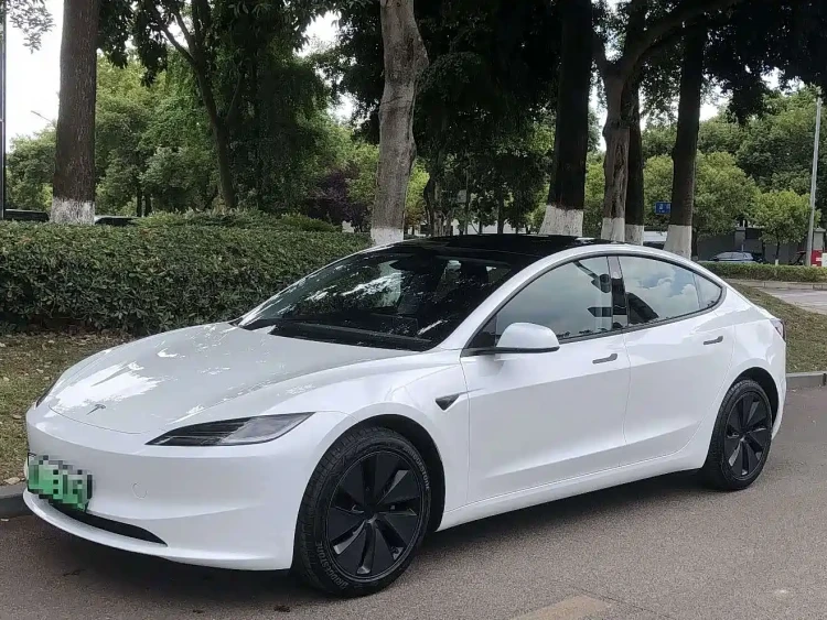 Tesla Model 3 2025 Model Rear-Wheel Drive Edition
