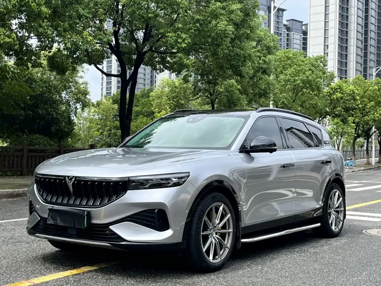 Voyah Auto VOYAH FREE 2021 2WD Standard Pure Electric Edition