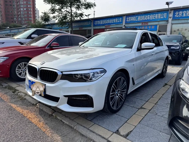 BMW 5 Series 2019 530Li Leading M Sport Package