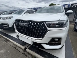Haval H6 2023 National Trend Edition 1.5T Automatic Urban