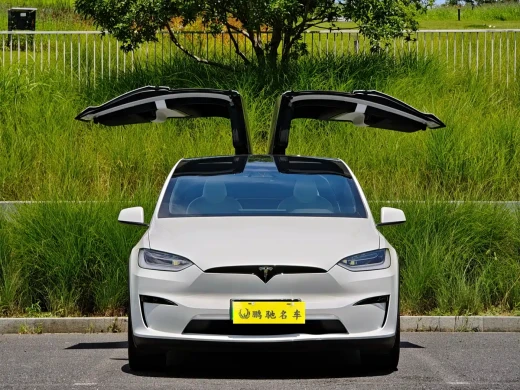 Tesla Model X 2023 Tri-motor AWD Plaid