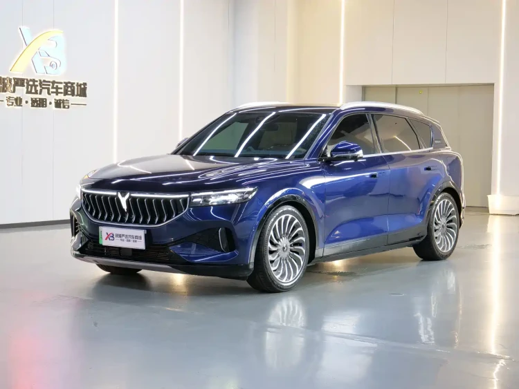 Voyah Auto VOYAH FREE 2021 AWD Standard Range Extender Exclusive Luxury Package