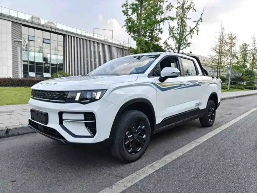 Geely Radar Radar Horizon 2024 415km 2WD Champion Edition