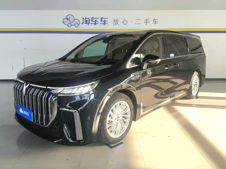 Voyah Auto Voyah Dreamer 2024 PHEV Ultra Long Range Premium Edition