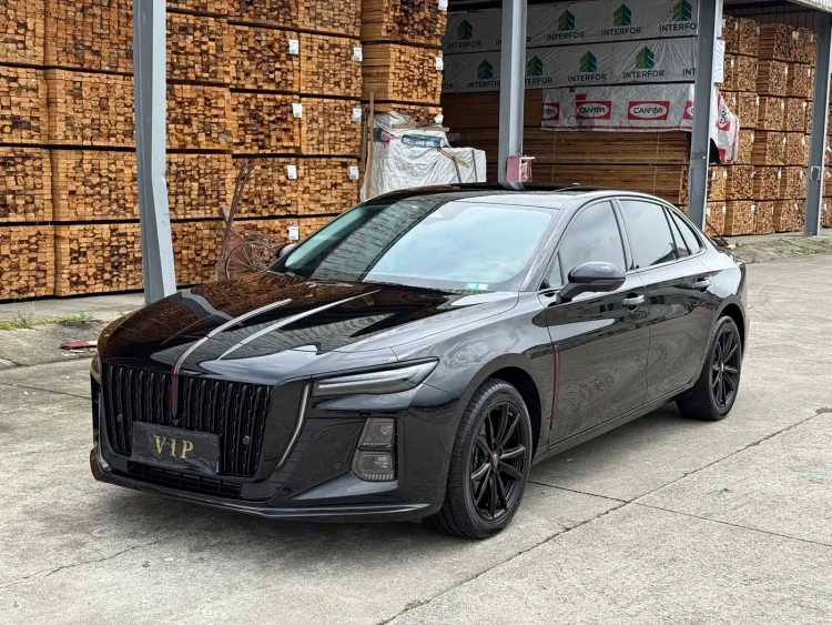 Hongqi H5 2025 2.0T Automatic Mystic Shadow