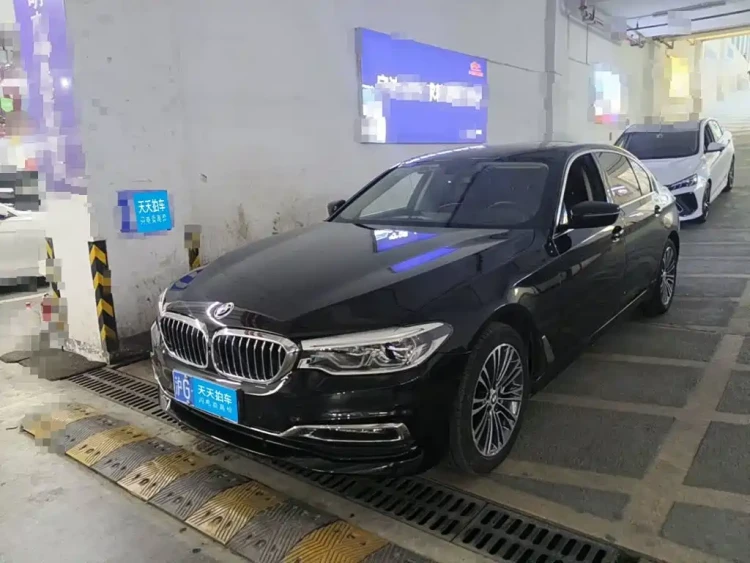 BMW 5 Series 2019 530Li Premium Luxury Package