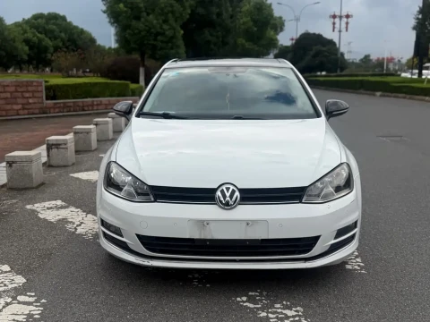 Volkswagen Golf 2017 1.6L Auto Comfort Millionth Edition