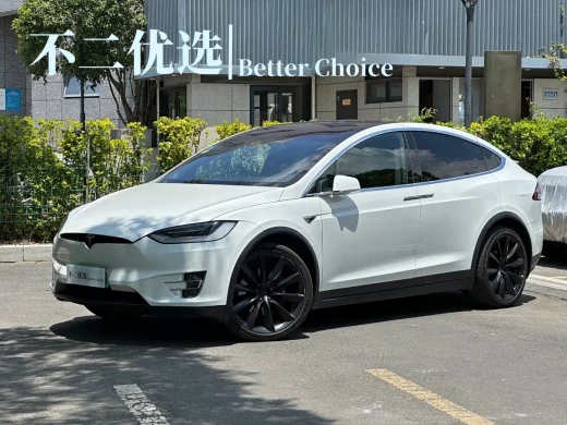 Tesla Model X 2019 Long Range Version