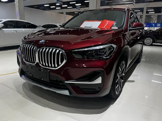 BMW X1 2020 xDrive25Li Premium Edition