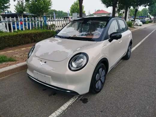 Wuling Motors Binguo Pro