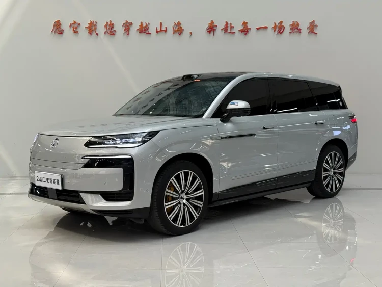 Denza N9 2025 Flagship Model