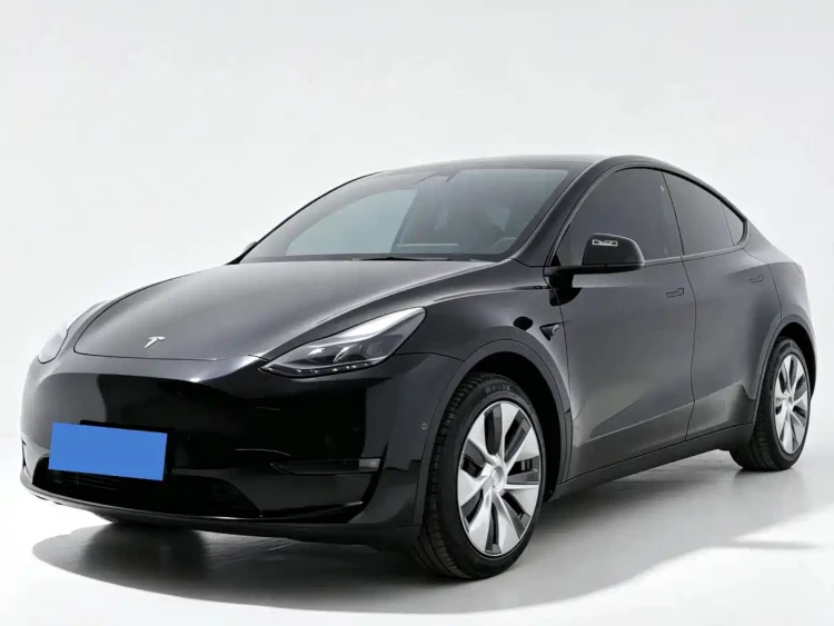 Tesla Model Y 2021 Standard Range Rear-Wheel Drive