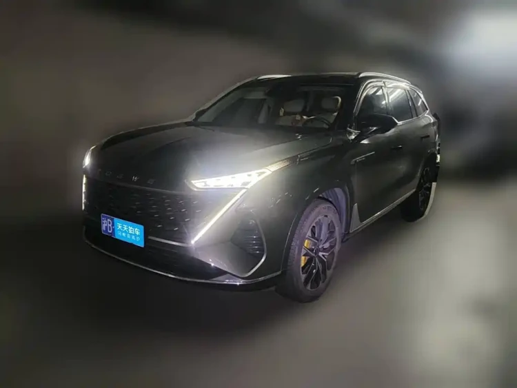 Roewe RX9 2023 2.0T 2WD Yuexiang Edition