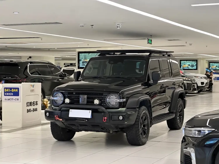 Tank 300 2021 Off-road Version 2.0T Conqueror