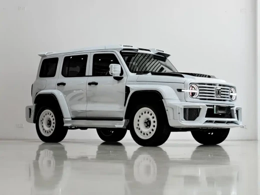 Tank 300 New Energy 2025 Hi4-T