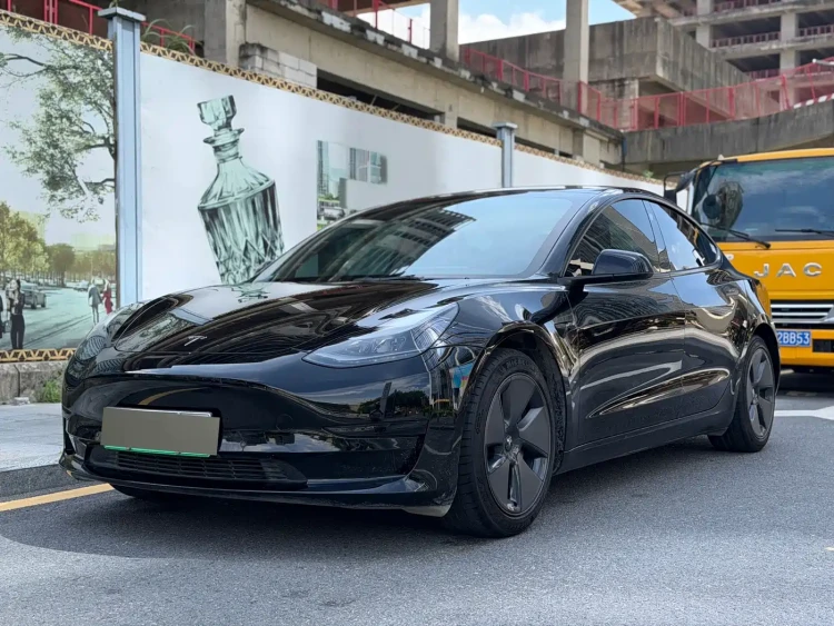 Tesla Model 3 2021 Standard Range Rear-Wheel Drive Upgrade 3D6