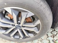 Haval Big Dog 2024 1.5T DCT Border Collie Edition