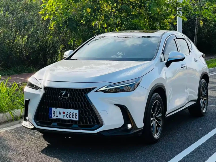 Lexus NX 2024 260 FWD Joy Creation Edition