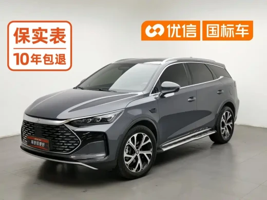 BYD Tang New Energy 2025 Smart Driving Edition DM-i 115KM Premium